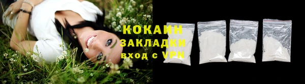 PSILOCYBIN Горняк